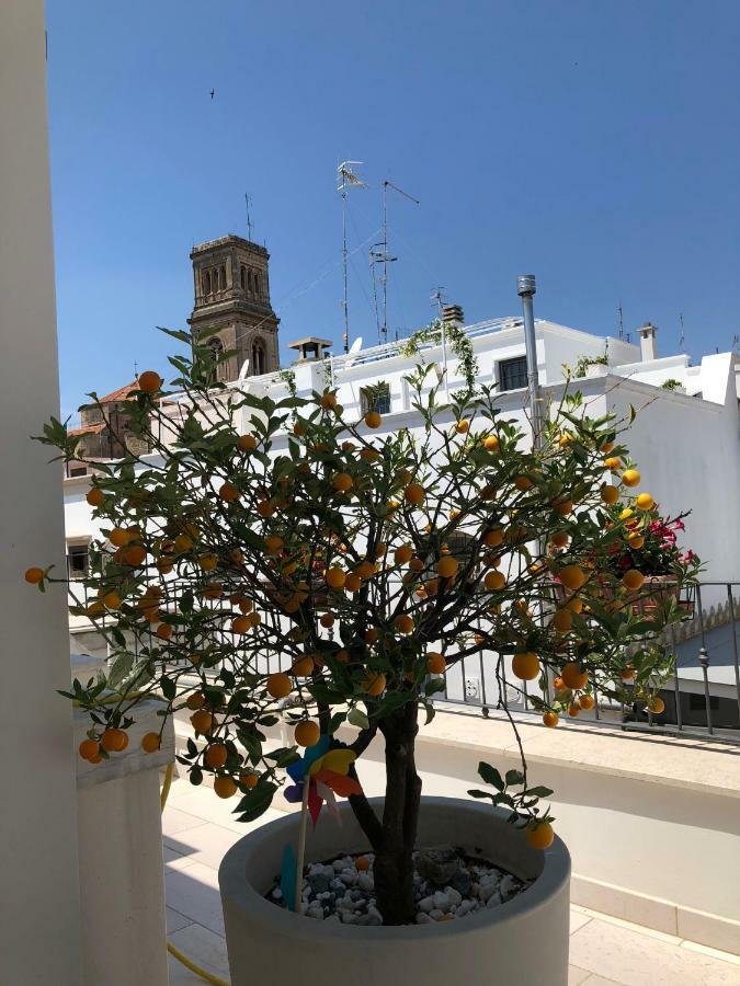 Palazzotto "Fasano Antica" Lejlighed Eksteriør billede